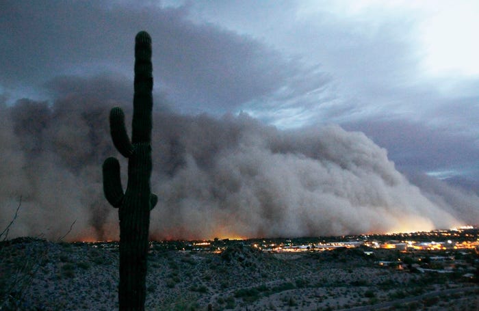 A towering dust cloud moves behind a silhouetted saguaro cactus, highlighting the dramatic, fast‑moving dust storms common in Arizona monsoon season.